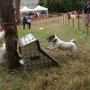 foire-haricots 2011-09-17et18